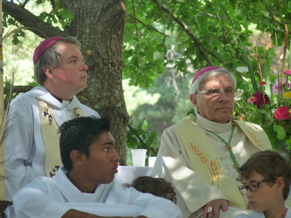 Preuve de l'abus liturgique